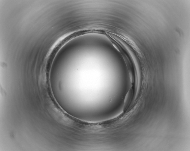 X0000091190784200708091248