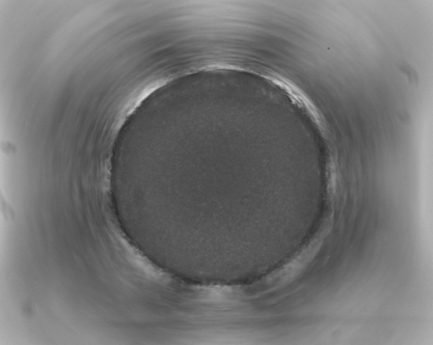 X0000091190785200708091248