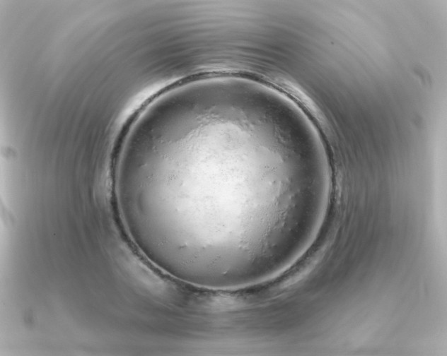 X0000091190787200708091248