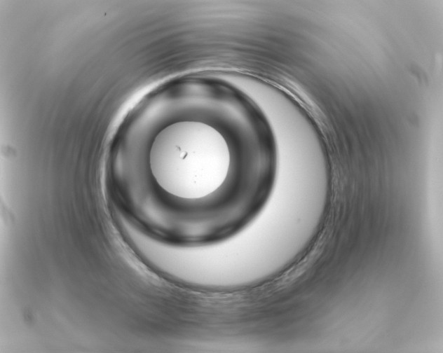 X0000091190788200708091248