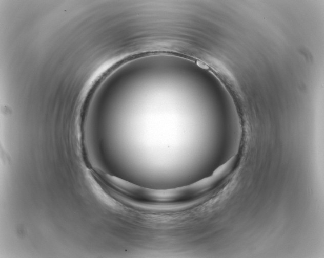 X0000091190792200708091248