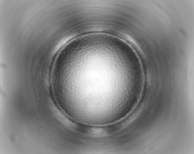 X0000091190794200708091248