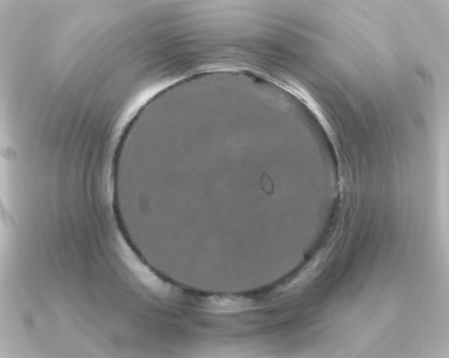 X0000091190795200708091248