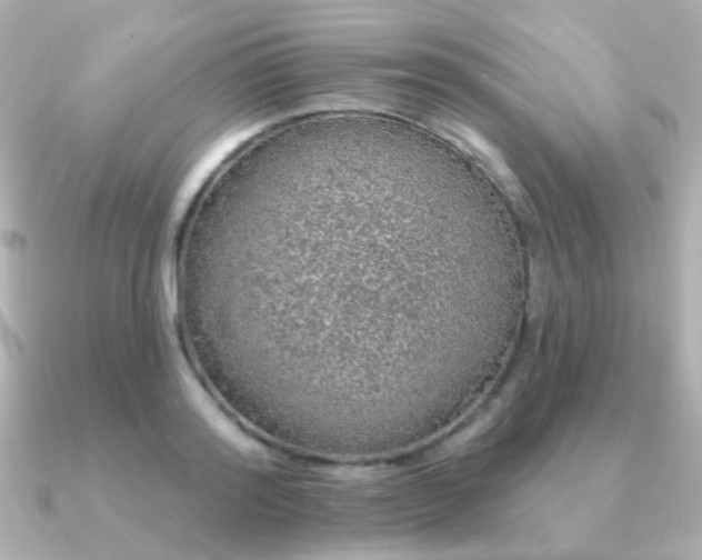 X0000091190796200708091248