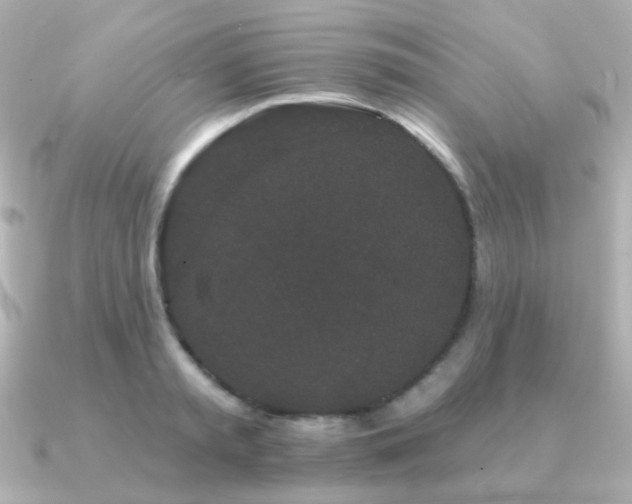 X0000091190797200708091248