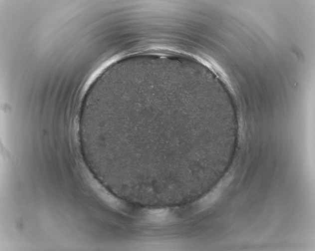 X0000091190798200708091248