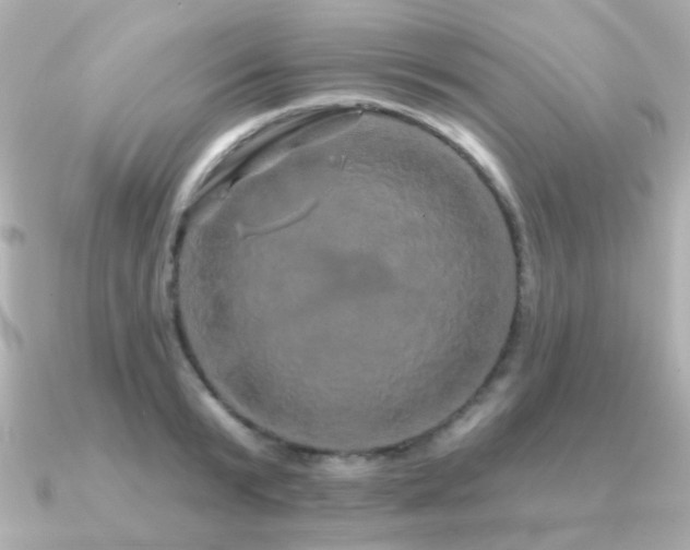 X0000091190799200708091248