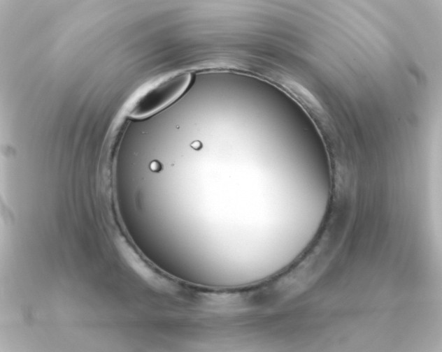 X0000091190800200708091248