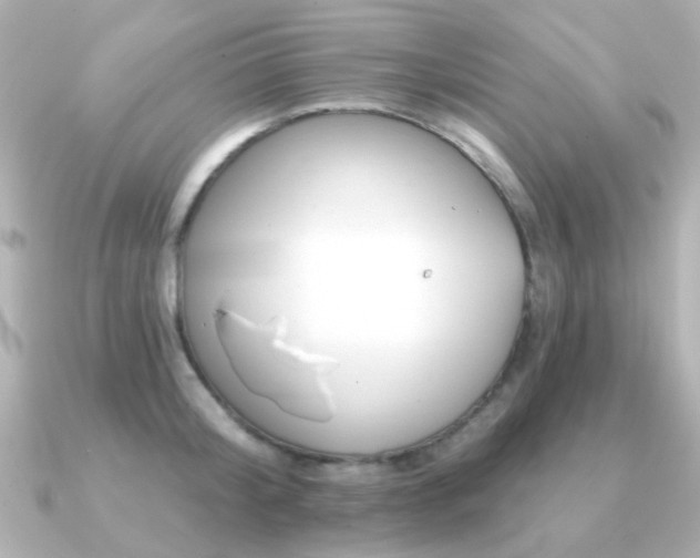 X0000091190804200708091248