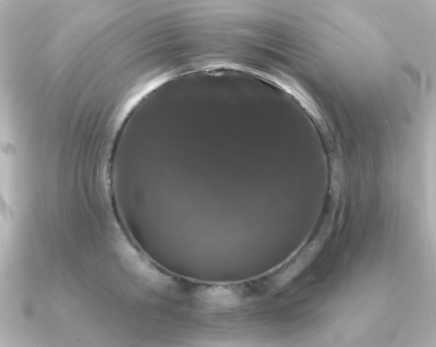 X0000091190806200708091248
