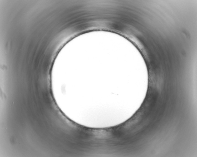 X0000091190807200708091248