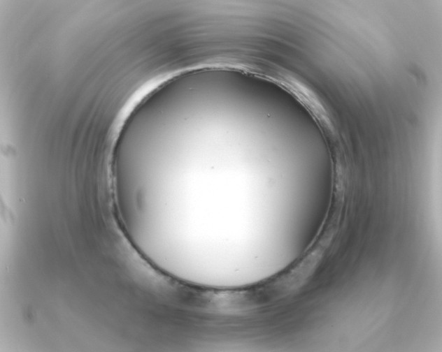 X0000091190808200708091248