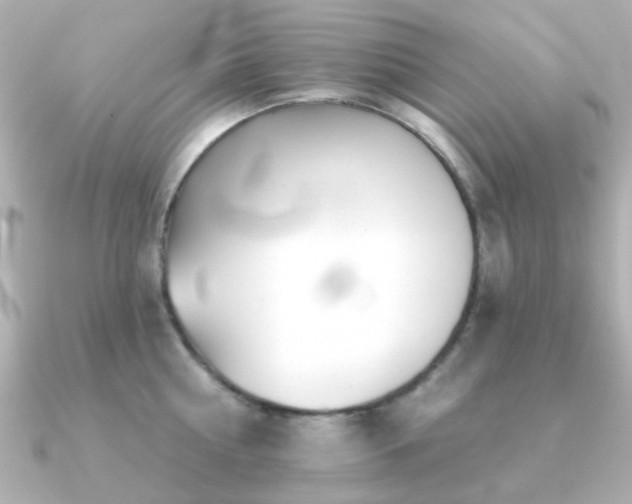 X0000091190810200708091248