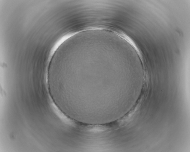 X0000091190811200708091248