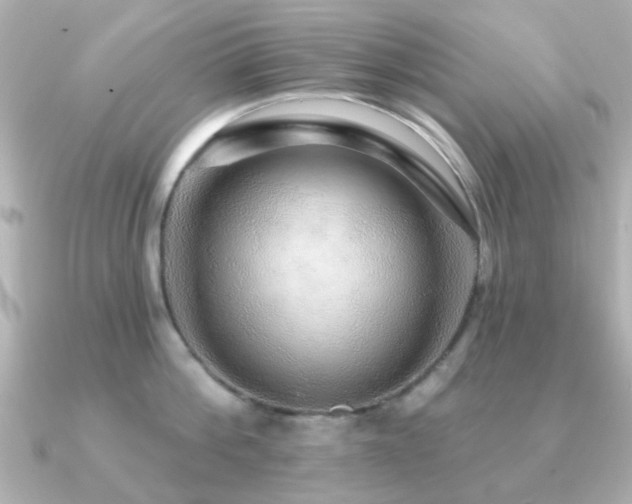 X0000091190812200708091248