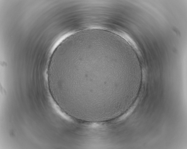 X0000091190814200708091248