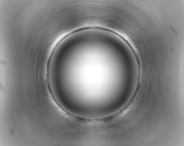 X0000091190815200708091248