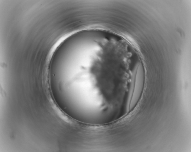 X0000091190816200708091248