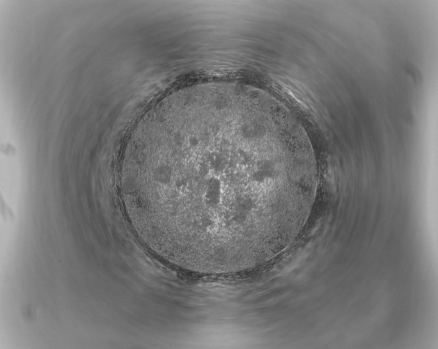 X0000091190817200708091247