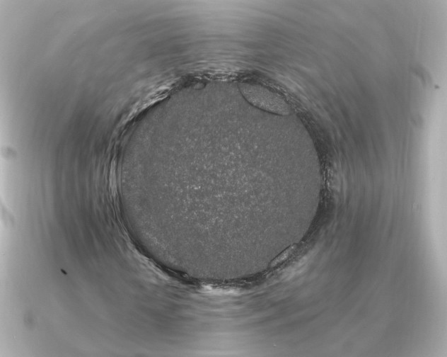 X0000091190818200708091247