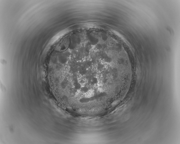 X0000091190823200708091248