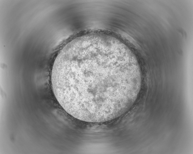 X0000091190824200708091248