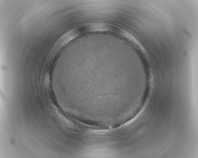 X0000091190825200708091248