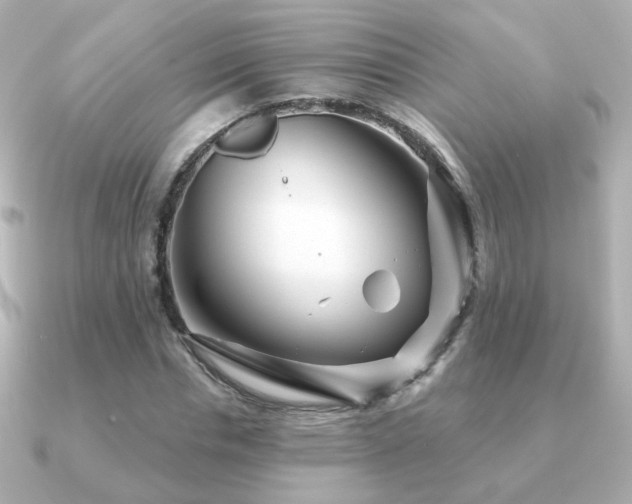 X0000091190826200708091248