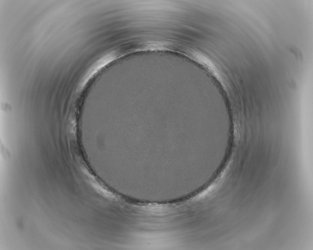 X0000091190827200708091248
