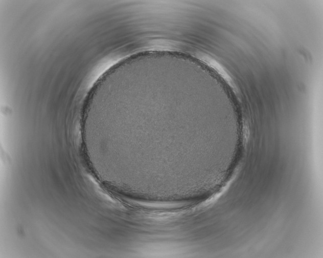 X0000091190829200708091248