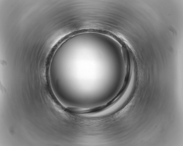 X0000091190830200708091248