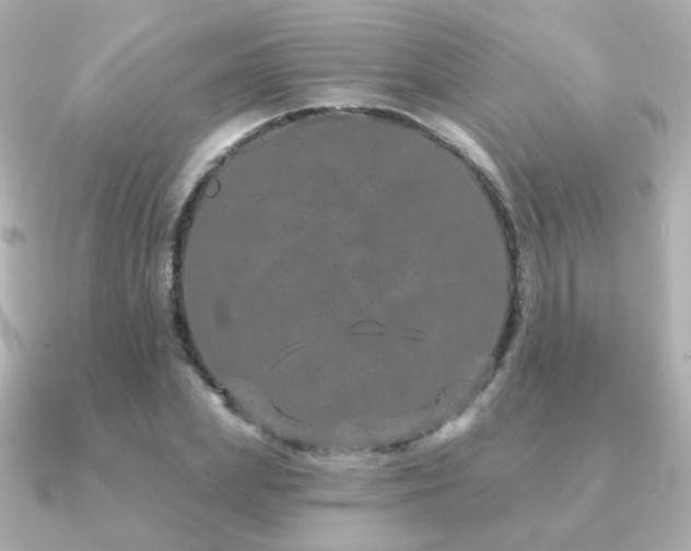X0000091190831200708091248