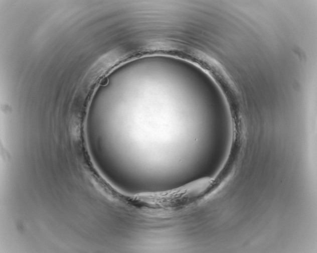 X0000091190833200708091248