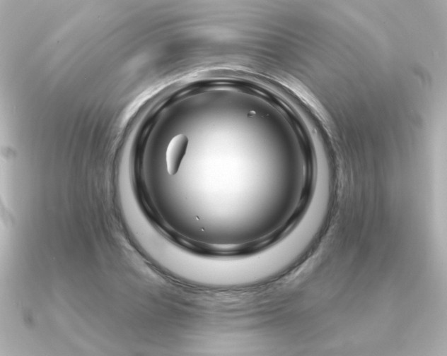 X0000091190834200708091248