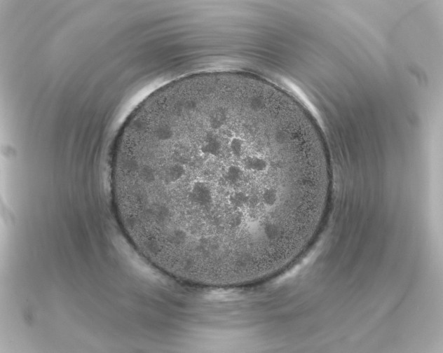X0000091190835200708091248
