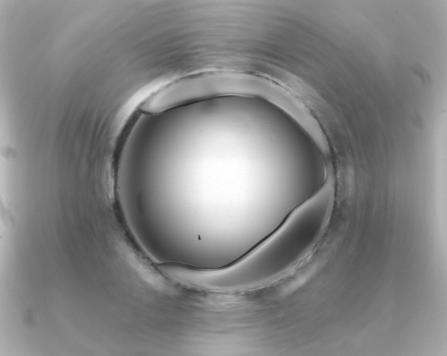 X0000091190838200708091248