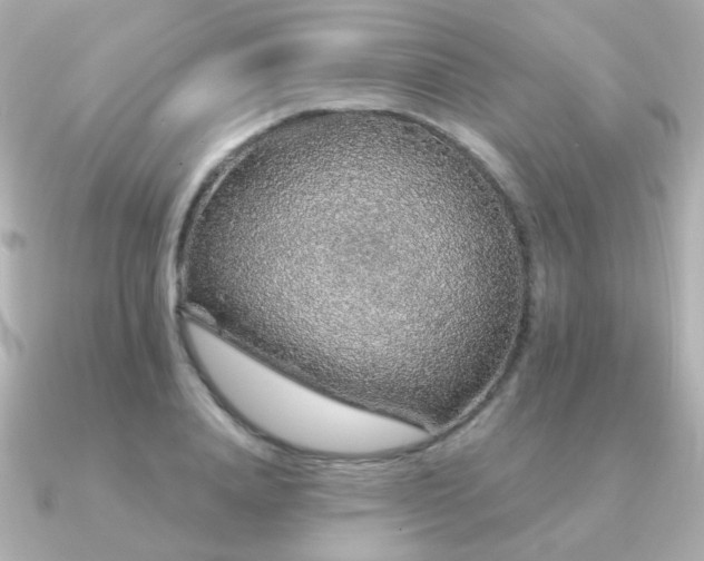 X0000091190840200708091248