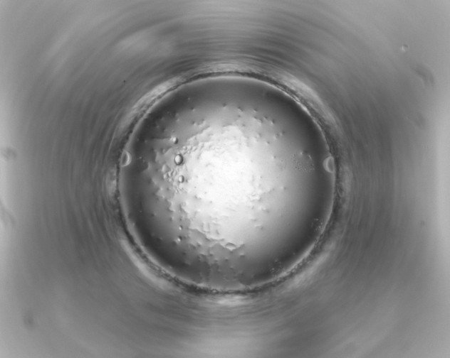 X0000091190841200708091248