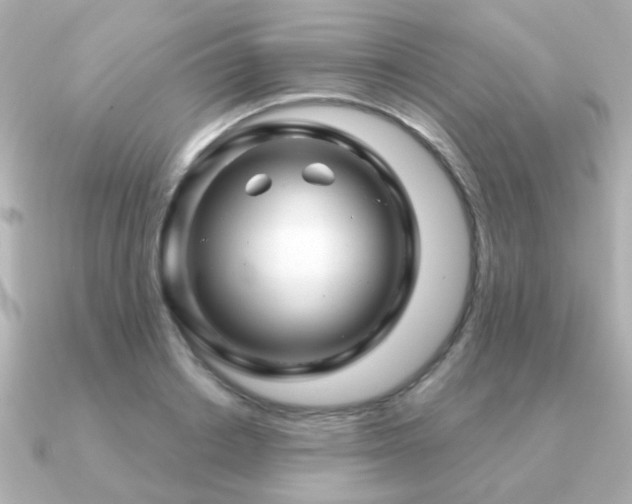 X0000091190842200708091248