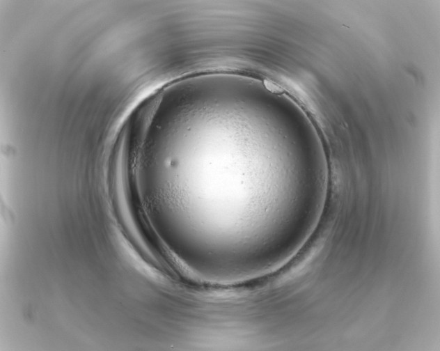 X0000091190843200708091248
