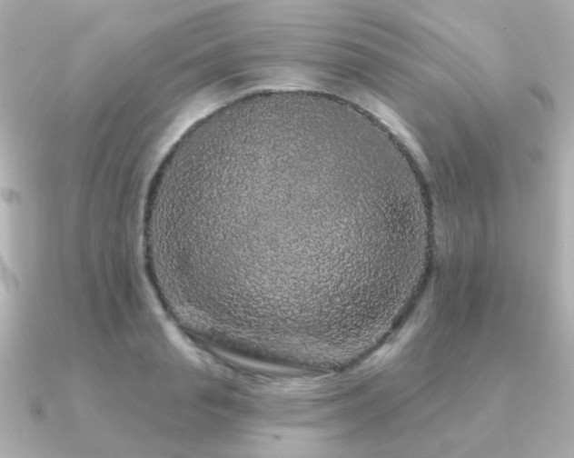 X0000091190845200708091248
