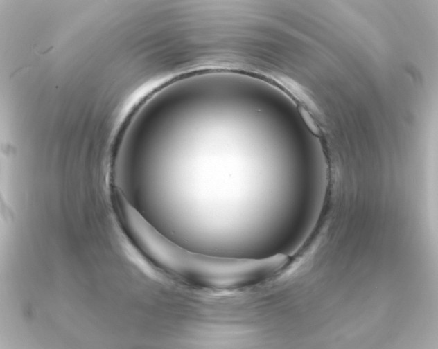 X0000091190846200708091248