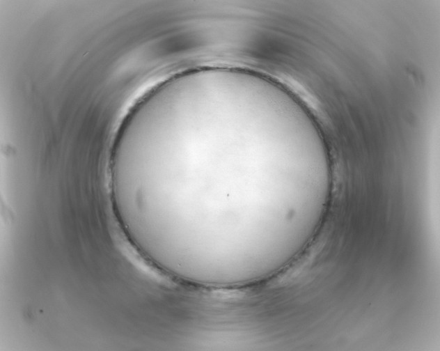 X0000091190848200708091248