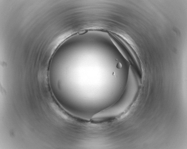 X0000091190850200708091248