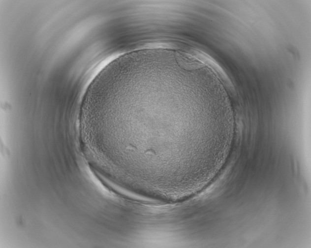X0000091190852200708091248