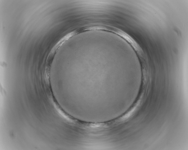 X0000091190857200708091248