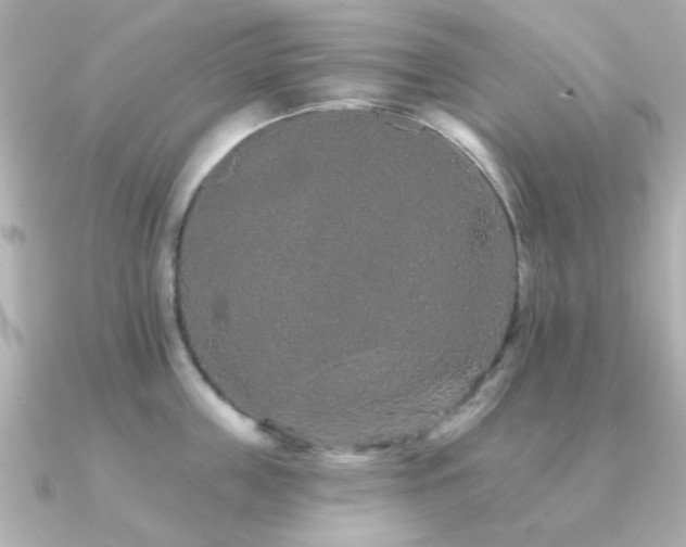 X0000091190859200708091248