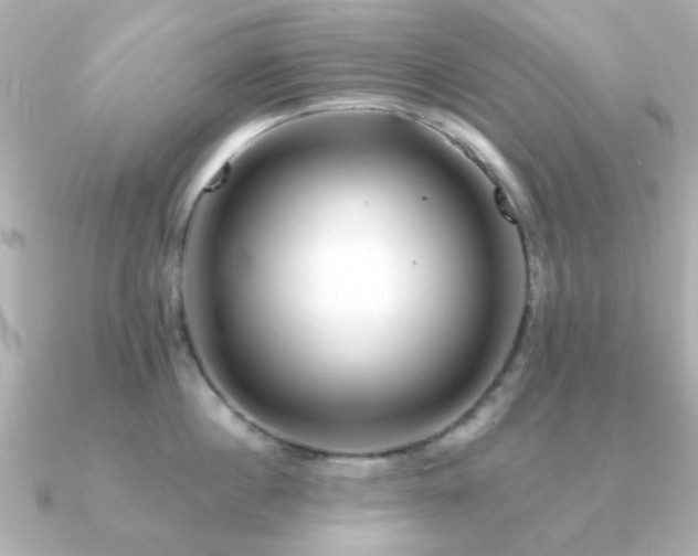 X0000091190860200708091248