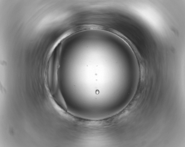X0000091190861200708091248