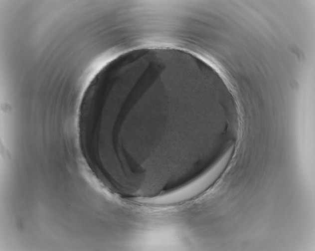 X0000091190864200708091248